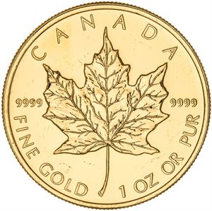 Picture of Damaged Maple Leaf