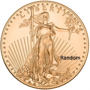 Picture of Prior Date 1 oz Gold American Eagle