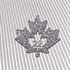 Picture of 2024 1 oz Silver Maple Leaf