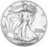 Picture of 2025  1 oz Silver Eagle