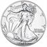 Picture of 2026  1 oz Silver Eagle